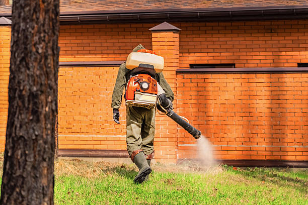 Trusted Termite Control service in Galesburg, MI - Nex Pest Control